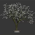 Beautiful Tree With White Flowers Brown Trunk On Red Base Against Dark Background 3d model