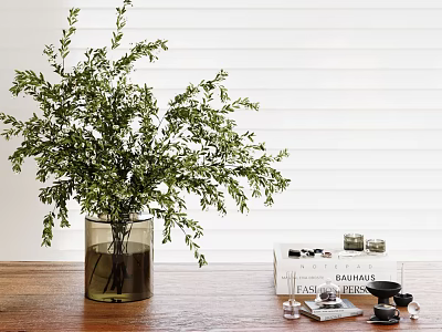 Green Plant In Glass Vase On Wooden Table With Books And Camera 3d model