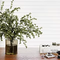 Green Plant In Glass Vase On Wooden Table With Books And Camera