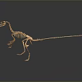 Golden Dinosaur Skeleton With Detailed Anatomical Structure Standing On Dark Background
