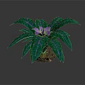 Potted Indoor Plant With Purple Flower And Green Leaves Featuring Purple Stripes