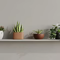 Different Potted Indoor Plants On Wall Shelf With Various Planters