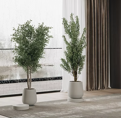 modern potted plant potted plant 3d model modern potted plant potted plant 3d model