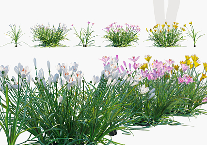 Modern flowers and plants 3d model