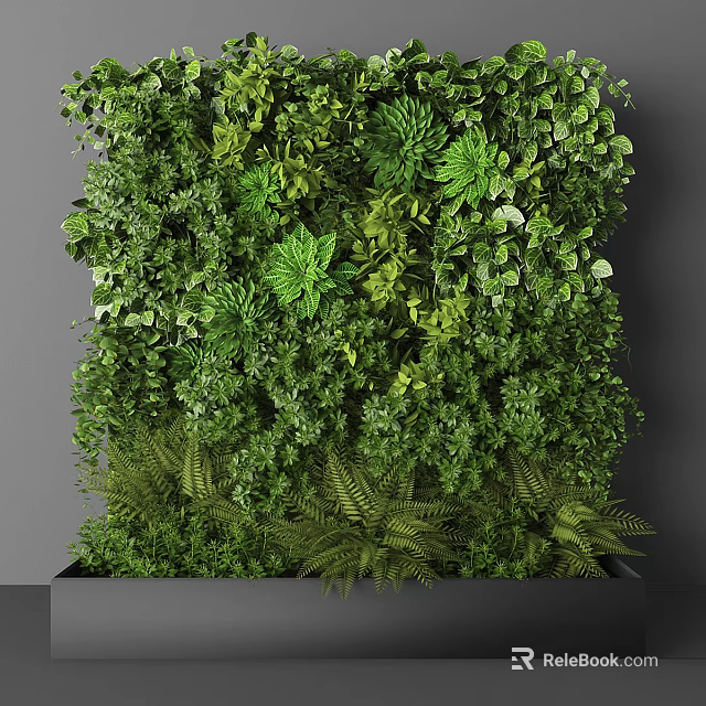 Lush Indoor Living Plant Wall With Various Green Foliage And Vibrant Leaves 3d model 