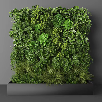 Lush Indoor Living Plant Wall With Various Green Foliage And Vibrant Leaves 3d model