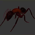 3D Rendered Metallic Ant With Black Red Body And Shiny Surface