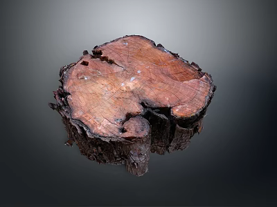 Natural Wooden Stump Featuring Rich Grain Texture And Polished Surface Design 3d model