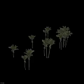Palm Trees With Lush Foliage In Different Growth Forms And Trunk Types 3d model