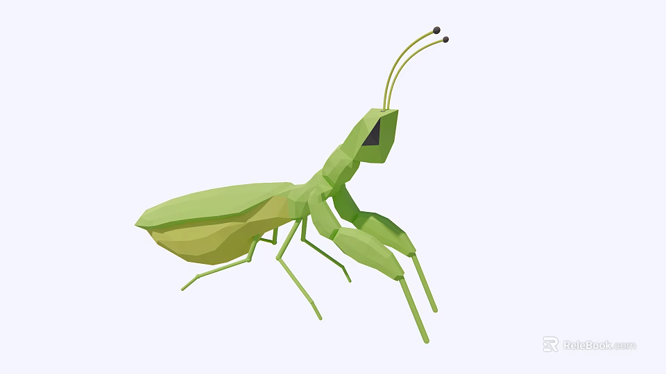Green Flying Mantis With Detailed Geometric Design And Vibrant Color Features 3d model 