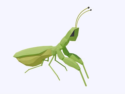 Green Flying Mantis With Detailed Geometric Design And Vibrant Color Features 3d model