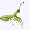 Modern Mantis 3d model