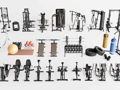 Complete Sports Equipment Collection Including Dumbbells Barbells Treadmills Fitness Benches And Exercise Machines 3d model