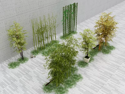 Different Types Of Bamboo Plants In Indoor Arrangement With Grass 3d model