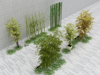 Different varieties of bamboo 3d model