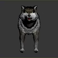 Realistic Standing 3D Animal Model With Fluffy Tail And Textured Fur Design