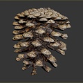 Pine cone plant game item 3d model