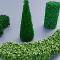 East Cedar Curved Hedge Cylindrical Hedge Hedge Hedge Shrub High Plant Landscape Plants 3d model