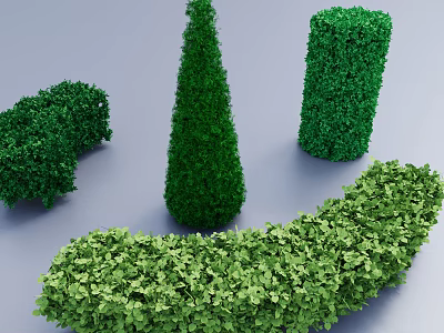 Shrubs With Various Sculpted Shapes And Lush Fresh Green Foliage For Garden Landscaping 3d model