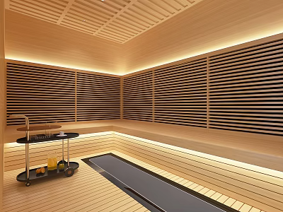 Elegant Sauna Room Interior With Wooden Slatted Walls Ceiling And Flooring 3d model