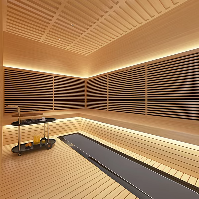 Elegant Sauna Room Interior With Wooden Slatted Walls Ceiling And Flooring 3d model