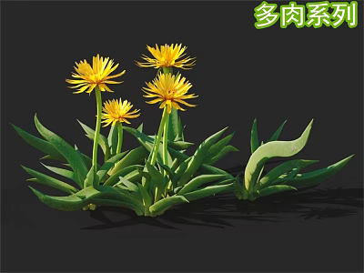 Succulent Plant Series Showcasing Vibrant Yellow Flowers And Lush Green Leaves 3d model