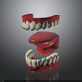 3D Dental Model Showing Upper Lower Jaw With Red White Teeth Structure