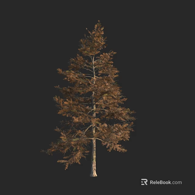 Tall Arbor Featuring Brown Leaves And Thick Trunk In Isolated View 3d model 