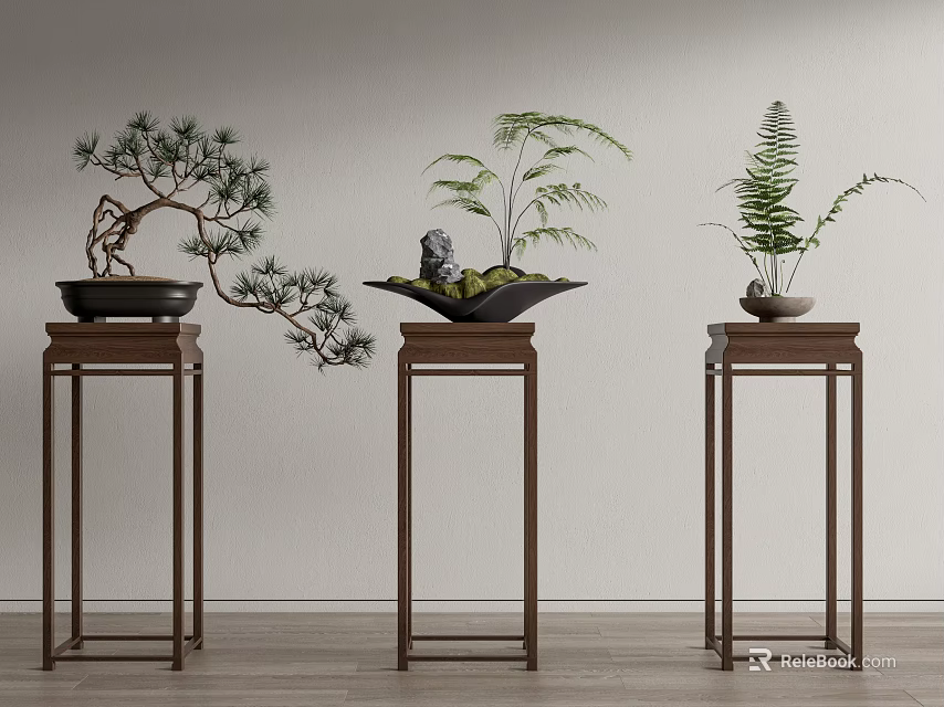 Elegant Bonsai Potted Plants Display on Wooden Stands with Pine Fern and Decorative Figurine 3d model 