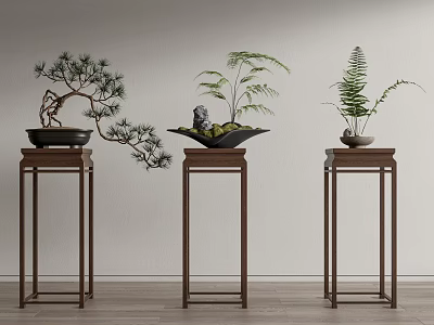 Elegant Bonsai Potted Plants Display on Wooden Stands with Pine Fern and Decorative Figurine 3d model