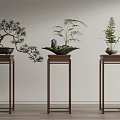 Elegant Bonsai Potted Plants Display on Wooden Stands with Pine Fern and Decorative Figurine