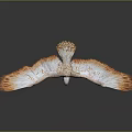 Flying Eagle With Orange And White Feathers Spread Wings In Flight 3d model