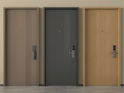 Modern Security Doors with Brown Dark Grey and Light Wood Finishes and Secure Locks 3d model