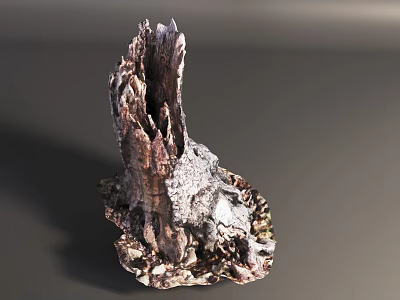 Detailed Natural Weathered Tree Trunk With Rough Texture And Organic Form 3d model