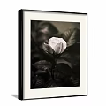 Black and White Framed Botanical Painting of Rose with Leaves Artwork