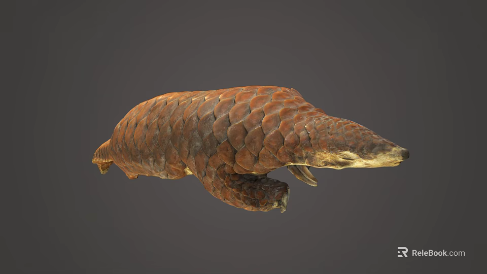 Detailed Pangolin With Brown Scales And Curled Body In 3D Render 3d model 