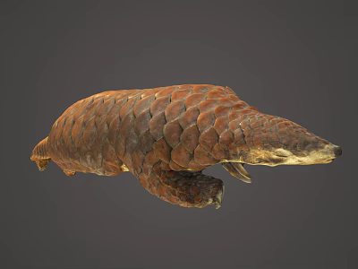 Detailed Pangolin With Brown Scales And Curled Body In 3D Render 3d model