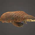 Detailed Pangolin With Brown Scales And Curled Body In 3D Render