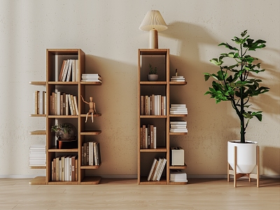 Modern bookshelf combination 3d model