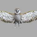 Owl With Spread Wings And White Brown Feathers Standing In Flight Posture 3d model