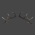 Natural Brown Deer Antlers As Decorative Wall Art For Rustic Homes