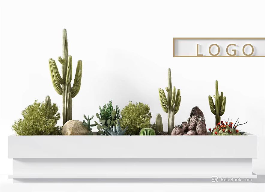 Potted Cactus and Succulent Plants in White Rectangular Planter with Decorative Rocks and Greenery 3d model