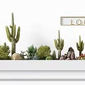 Potted Cactus and Succulent Plants in White Rectangular Planter with Decorative Rocks and Greenery 3d model