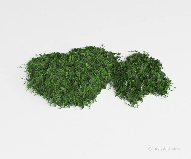 Lush Green Natural Ground Cover Plants For Garden Landscape Design 3d model 