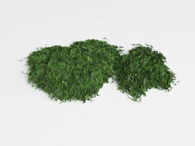 Lush Green Natural Ground Cover Plants For Garden Landscape Design 3d model