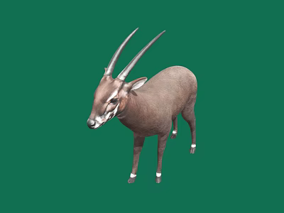 Brown Antelope With Long Horns And White Feet Standing On Green Background 3d model