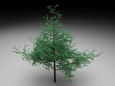 Evergreen Tree With Green Foliage And Brown Trunk Isolated On Gradient Background 3d model