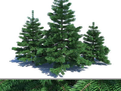 Green Three Pine Trees Decorative Ornament Set for Festive Home Decor 3d model
