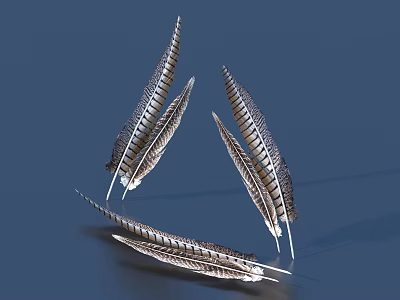 Stylish Textured Feather Decorative Ornament Set For Home Decor Display Arrangement 3d model