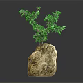 Decorative Landscape Ornament With Stone Base And Green Miniature Trees
